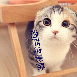 葫芦岛影院 （说到曹操，曹操就到）