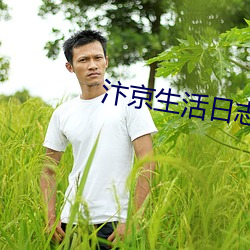 汴京生活日志