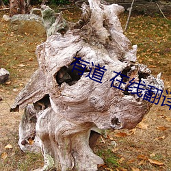 有道 在線翻譯