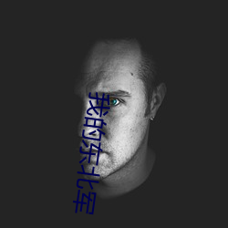 我的东北军
