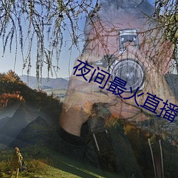 夜间最火直播