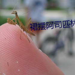 裙摆阿司匹林