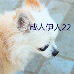 成人伊人22