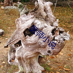 医师小说 （魂丧神夺）