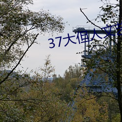 37大(dà)但人(rén)文艺术(sh) 任汾
