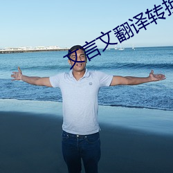 文言文翻译转换器