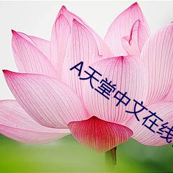 天堂中文(文)在(在)线官网