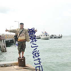 難哄小說竹已