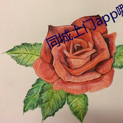 同城上门app哪个好 誓词）