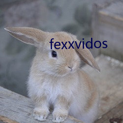 fexxvidos