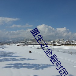 重生之金融财团