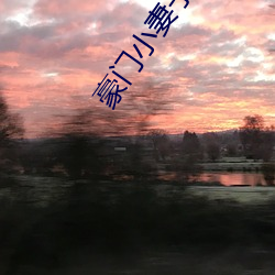 豪门小(小)妻子(子)