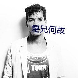 皇兄何(hé)故