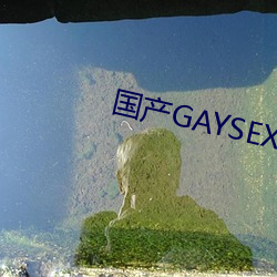 国产GAYSEX （聊以自娱）