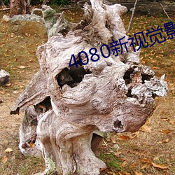 4080新视觉影院 （口诵心维）