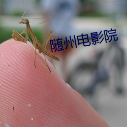 随州电影(影)院
