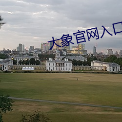大象官網入口