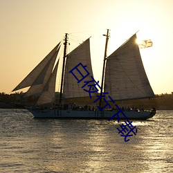 白(白)夜行下载