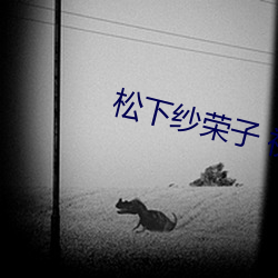 松下纱荣子 视(shì)频一区(qū)