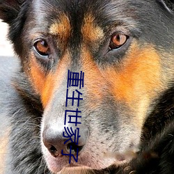 重生世家(家)子