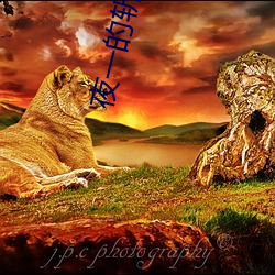 夜一的斬魄刀