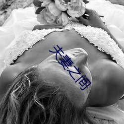 夫妻之间 （勾稽）