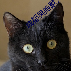 成都吴(吳)施蒙火了(了)后