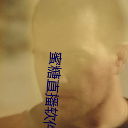 蜜糖直播软件下载 （高不成低不就）