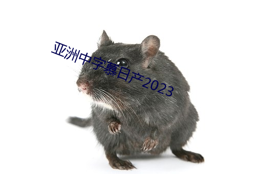 亞洲中字慕日産2023