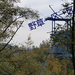 vwinӮ(й) - ٷվ