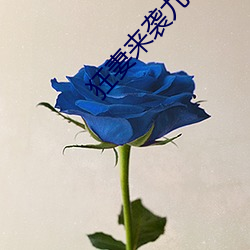 狂妻来袭九(九)爷早安
