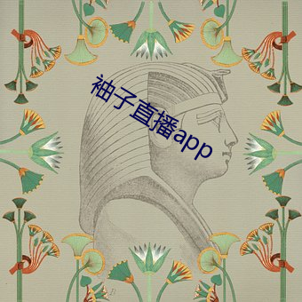 袖子直播app