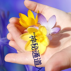 “神秘(秘)通道入口三秒自(自)动进入”:探索神(神)秘世界的独特通行证