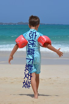忘优草下载(zài)安装