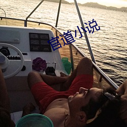 官道小說