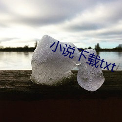 小说下载(zài)txt