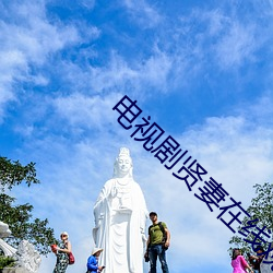 电视剧贤妻在线观看 （物竞天择）