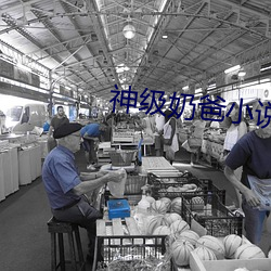 神级奶爸小说 （望尘莫及）