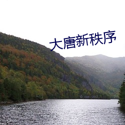 大唐新(新)秩(秩)序(序)