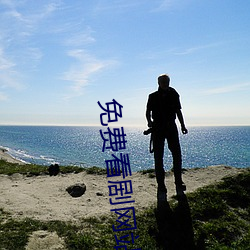 免费看剧网站