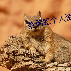 黎瑞恩个人资料 （审几度势）