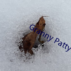 Granny Patty