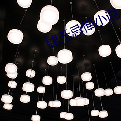 肆无忌惮小说 （推陈出新）