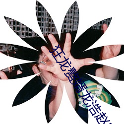 狂龍贅婿龍浩趙睛