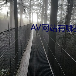 AV网站有哪些