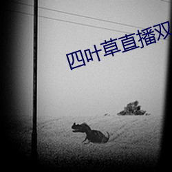 四叶草直(zhí)播双人(rén)大(dà)战