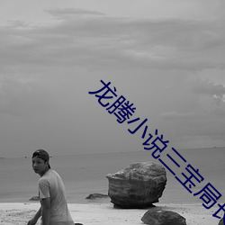 龍騰小說三寶局長