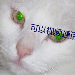 可以(yǐ)视频通(tng)话的app