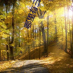 哪里有三级网站