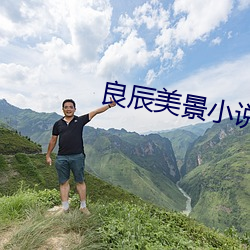 良辰美景小说